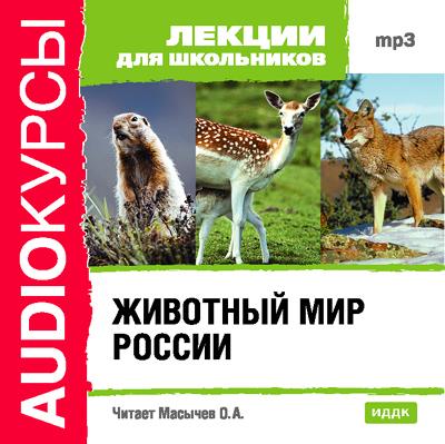 Книга Животный мир России (Коллектив авторов)