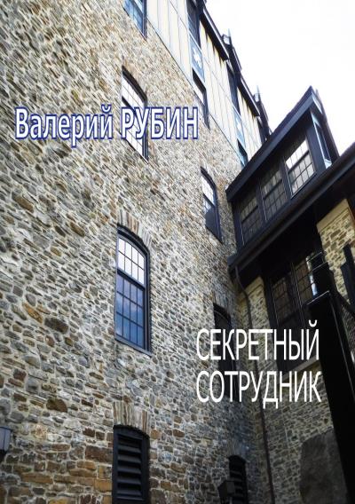 Книга Секретный сотрудник (Валерий Рубин)