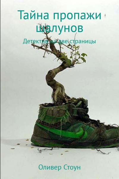 Книга Тайна пропажи шалунов (Оливер Стоун)