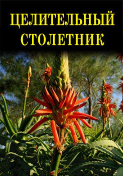 Книга Целительный столетник (Иван Дубровин)