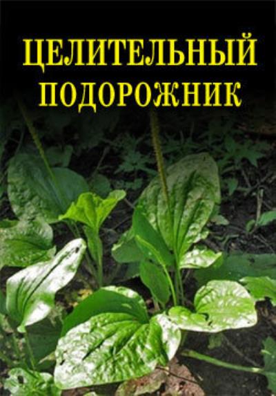 Книга Целительный подорожник (Иван Дубровин)