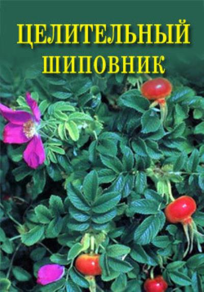 Книга Целительный шиповник (Иван Дубровин)