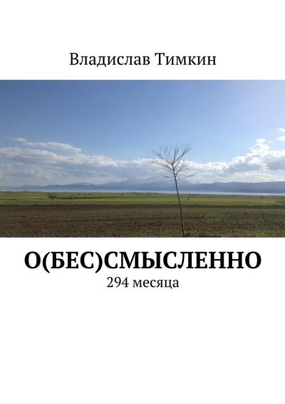 Книга О(бес)смысленно. 294 месяца (Владислав Тимкин)