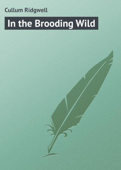 Книга In the Brooding Wild (Cullum Ridgwell)