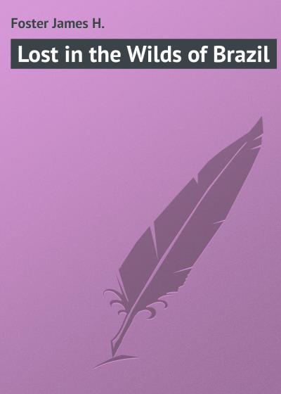 Книга Lost in the Wilds of Brazil (Foster James H.)