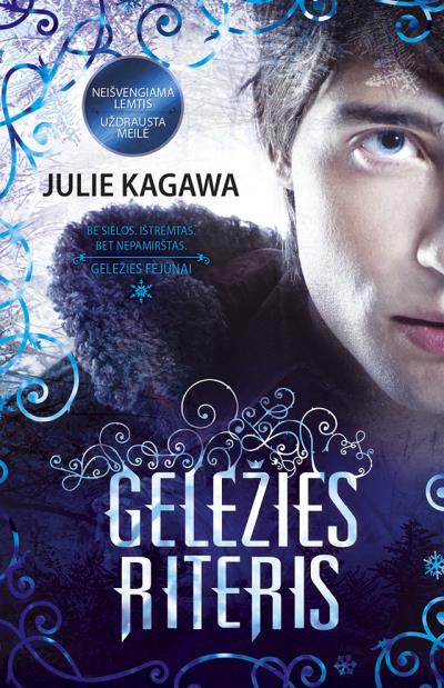 Книга Geležies riteris (Julie Kagawa)