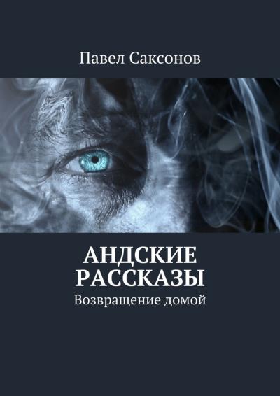 Книга Андские рассказы. Возвращение домой (Павел Саксонов)