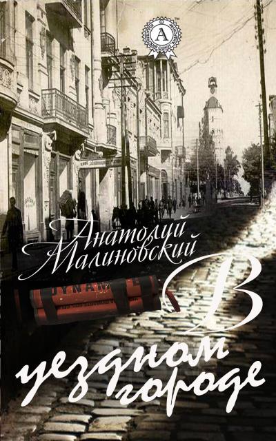 Книга В уездном городе (Анатолий Малиновский)