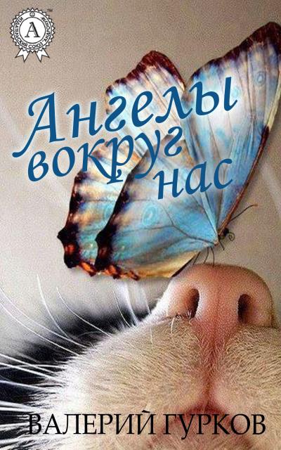 Книга Ангелы вокруг нас (Валерий Гурков)