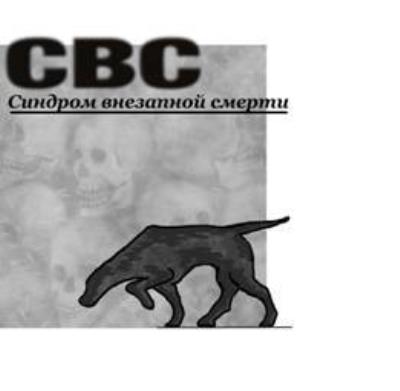 Книга СВС (Синдром Внезапной Смерти) (Бабулин Константин Леонидович)