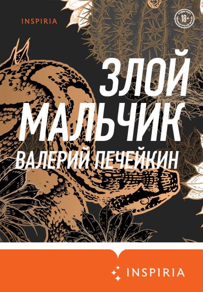 Книга Злой мальчик (Валерий Печейкин)