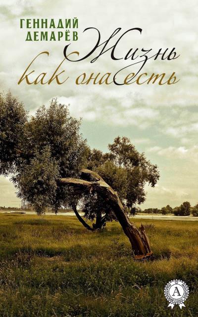 Книга Жизнь как она есть (Геннадий Демарев)