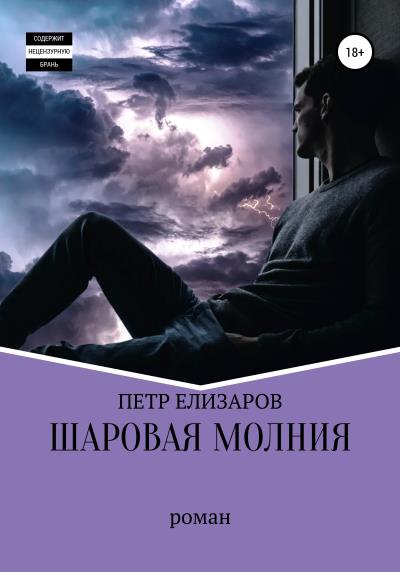 Книга Шаровая молния (Петр Анатольевич Елизаров)