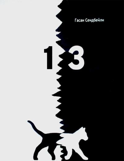 Книга 13 (сборник) (Гасан Сеидбейли II)