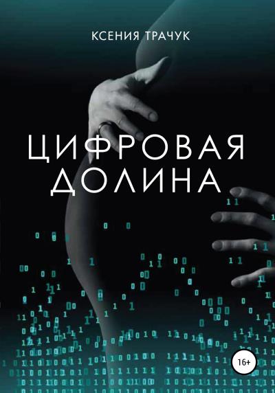 Книга Цифровая долина (Ксения Трачук)