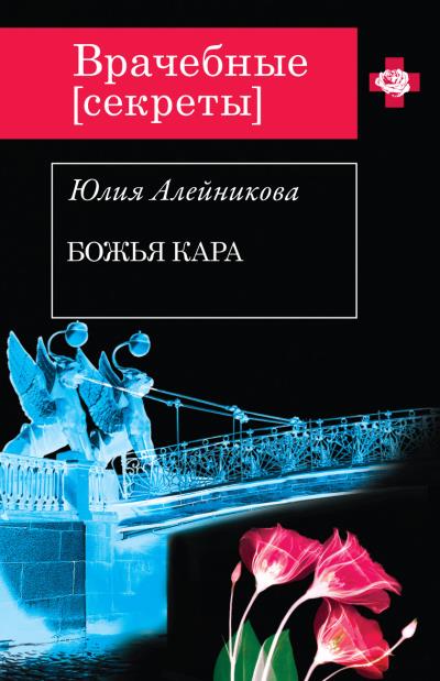 Книга Божья кара (Юлия Алейникова)