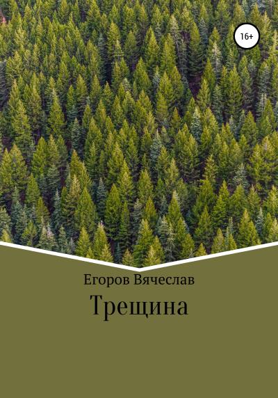 Книга Трещина (Вячеслав Анатольевич Егоров)