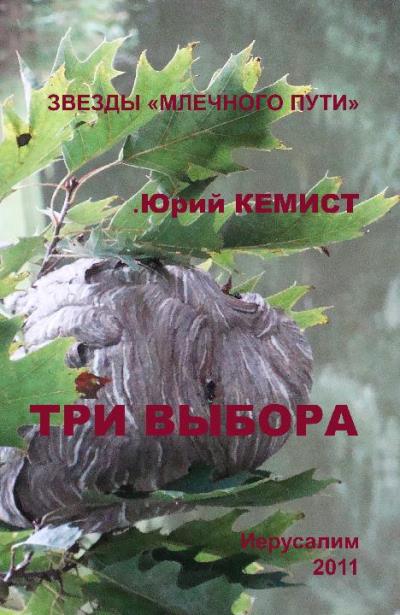 Книга Три выбора (Юрий Кемист)