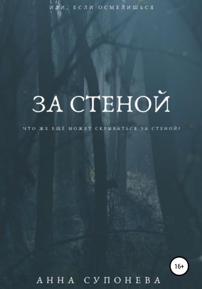 Книга За стеной (Анна Супонева)