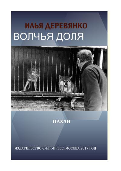 Книга Пахан (Илья Деревянко)