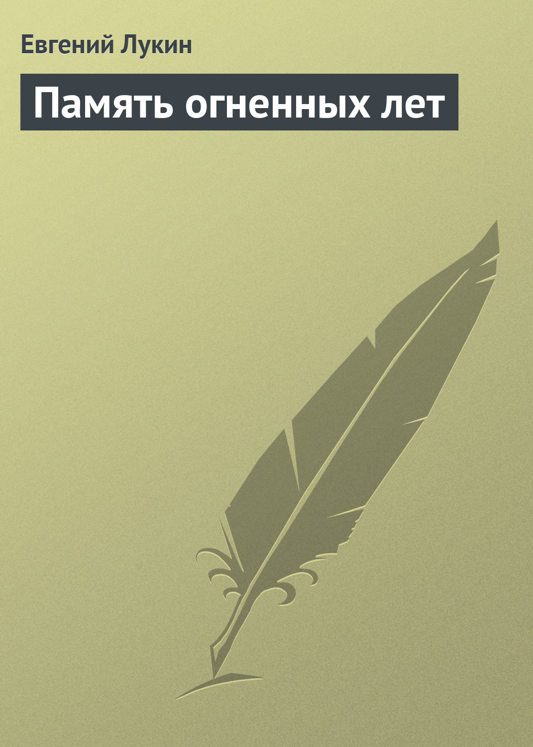 Книга Память огненных лет (Евгений Лукин)