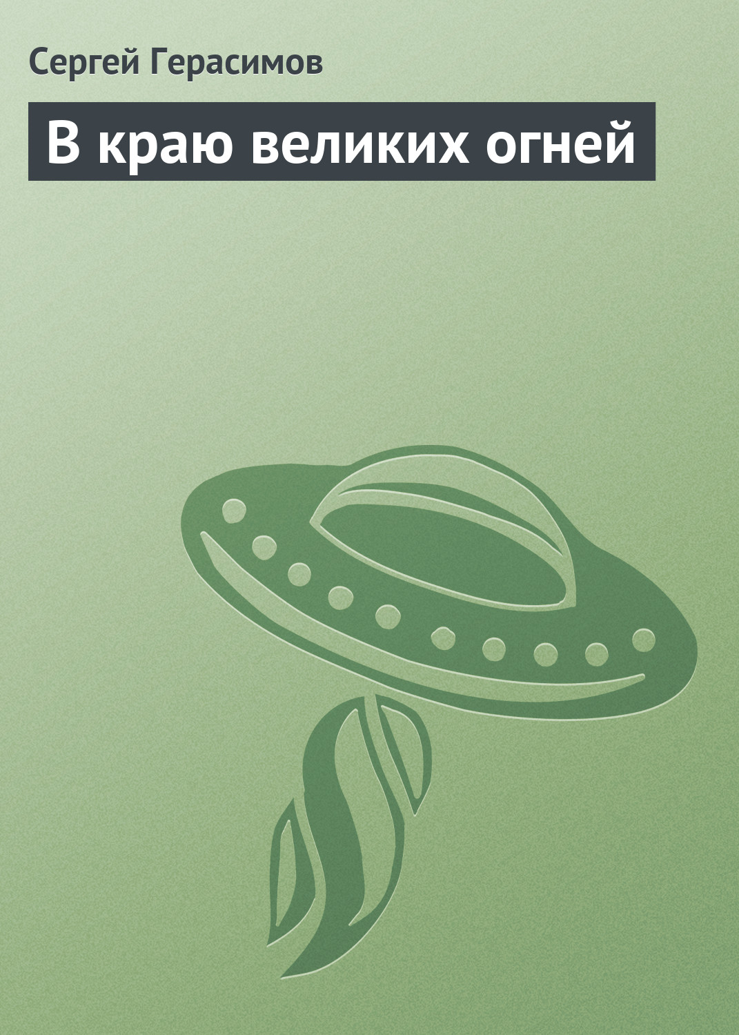 Книга В краю великих огней (Сергей Герасимов)