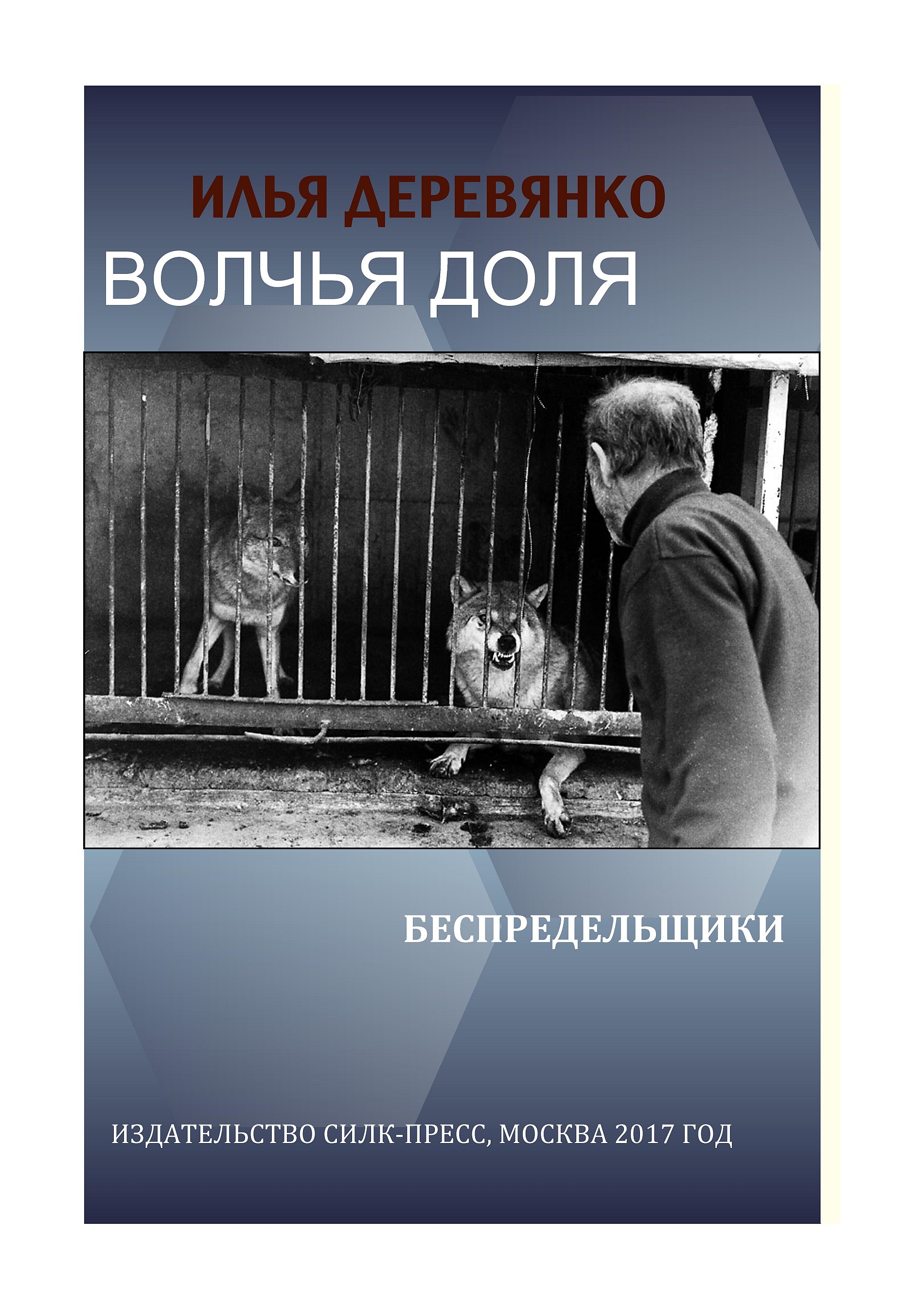 Книга Беспредельщики (Илья Деревянко)