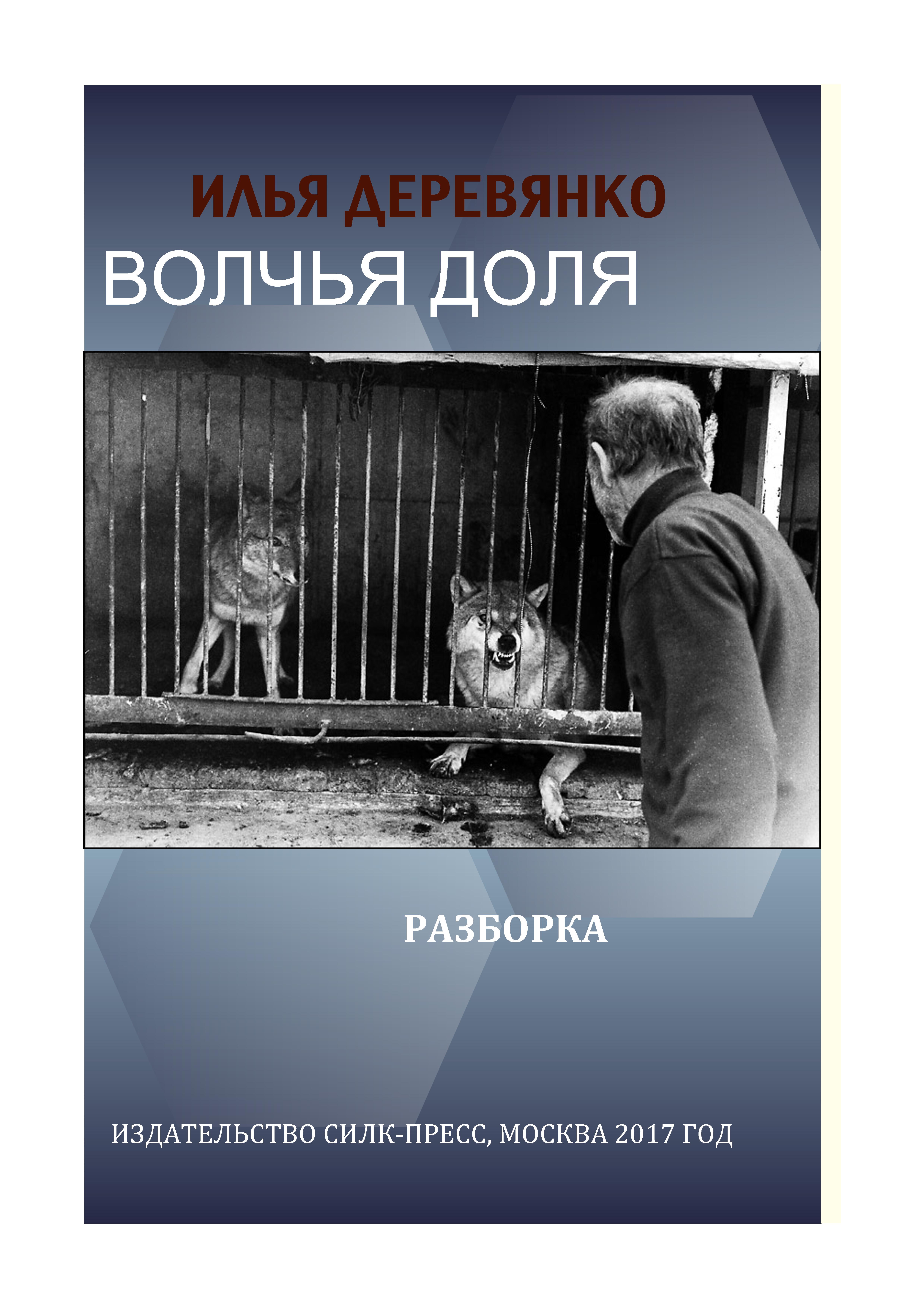 Книга Разборка (Илья Деревянко)